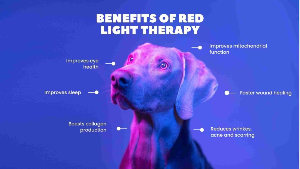 red light benefits Guides