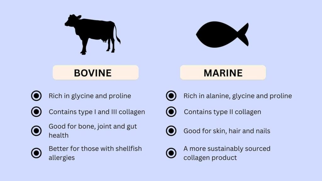 collagen types Comparisons, Guides